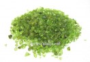 Peridot Undrilled Chips